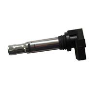 IGNITION COIL FOR VW BEETLE BORA CADDY CC MAGNETI MARELLI 060717062012