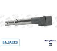 Ignition Coil for VW CARAVELLE T5 Bus EOS BORGWARNER (BERU) ZSE044