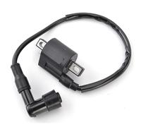 Ignition Coil For Y&amaha YFM 250 350 80 125 450 600 660 400 50 Big Bear Grizzly Kodiak Raptor Wolverine Kymco MXU Mxer 125 150