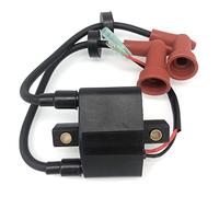 Ignition Coil For Yamaha 6 8 9.9 15 20 25 30 40 HP Outboard 6HP 8HP 9.9HP 15HP 20HP 2/4-Stroke 65W-85570-01/00,680-85570-09/02/01/00,689-85570-21/20,6E7-85570-19/10,6F5-85570-12/13,6G8-85570-21/20
