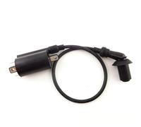 Ignition Coil Ignition Coil For GY6 260cc Moped Scooter For Linhai 260cc 300cc For ATV
