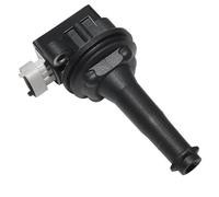 Ignition coil Ignition Coils 30713417 For Volvo C30 C70 S40 S60 V50 V60 V70 XC60 V40 Cross Country 2.0T For Ford parts(1pc)
