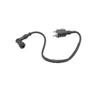 Ignition coil Ignitions Motorcycle For Kymco For Agility 125 150 50 For Dink 50 For Heroism 125 For Honk For KXR For Like For Maxxer For Movie For People Magneto Coil