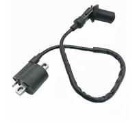 Ignition Coil Kit For YBR125 2002-2013 Motorcycle 12V Ignition Coil Ignite