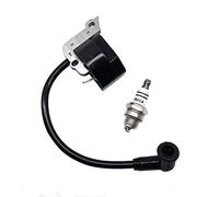 Ignition Coil Module and Spark Plug Fits For Stihl BG55 BG65 BG85 BG45 BG46 BR45 SH55 SH85 AM42 Handheld Leaf Blower Replace 4229 400 1300