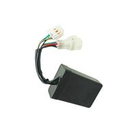 Ignition Coil Motorcycle ignition suitable for 250ATV JS250 ATV 250cc for AC 7LINE CDI