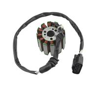 Ignition Coil Motorcycle Magneto Stator Coil For YZF R1 FZ8 FZ8-N FZ8-NA FZ8-SA FZ1 For Fazer FZ1-N FZ1-NA FZ1-SA Magneto Ignition Coil