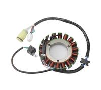 Ignition Coil Motorcycle Magneto Stator Coil Generator Ignition Coils For ATV Warrior 350 YFM350 Magneto 2002-2004 Magneto Ignition Coil