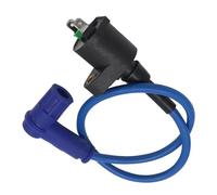 Ignition Coil Motorcycle Racing Ignition Coil For Chinese 50cc-250cc Dirt Pit Bike Moped For ATV Go Kart Quad Buggy Replacement Accessories(Blue)