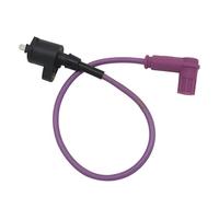 Ignition Coil Motorcycle Racing Ignition Coil For Chinese 50cc-250cc Dirt Pit Bike Moped For ATV Go Kart Quad Buggy Replacement Accessories(Purple)