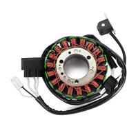 Ignition Coil Motorcycle Stator Coil For Venture 500 Lite (P Z50VT) For Multi Purpose (P Z50MP) For VK Pro (VK10) Magneto Ignition Coil
