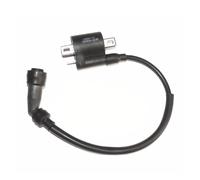 Ignition Coil Pack Ignition Coil For Keeway TX For RKV For RKS For RKI For ARSEN II 125 150 200 For STELS For FLAME 200 With CG Engine For Aero 200 For Titannic 200 Ignition Coil