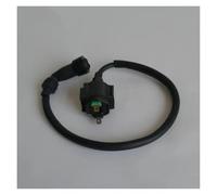 Ignition Coil Pack Ignitions Coils Motorcycle Ignition Coil For Rebel CA250 CMX250 For Barracuda 253FMM For Vision For Phoenix 250 For Texan 250 For Leonart For Spyder 125