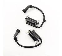 Ignition Coil Plug For Suzuki GW Inazuma 250 GSX250 GW250 DL250 DR300 Motorcycle Ignition Coil Left And Right High Voltage Package Ignition Coils Pack