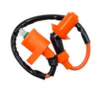 Ignition Coil Plug For TRX300EX 300EX 300FW TRX350D TRX350FE TRX70 TRX90 ATV Quad Dirt Pit Bike Motorcycle High Pressure Ignition Coil Ignition Coils Pack