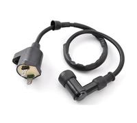 Ignition coil spark plug Motorcycle Ignition Coil Assy For Kymco Agility 50 Like 125 Super 8 125 Filly Agility People S 50 3051A-KHC4-900
