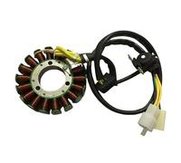 Ignition Coil Stator Coil Motorcycle Magneto Coils For GN125 GS125 EN125-2A HJ125K GZ125HS Coils Stator Coil Magneto Ignition Coil Rotor