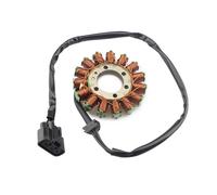 Ignition Coil Stator For BMW S1000R K47 S1000RR K46 S1000XR K49 HP4 K42 Race K60 12318553990 12317718420 Motorcycle Magneto Generator Stator Coil