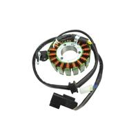 Ignition Coil Stator For CF250SR NK250 Motorcycle Accessories Stator Rotor Coil Combination Magneto Ignition Generator Magneto Stator Plate