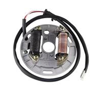 Ignition Coil Stator For Suzuki For Quadsport 80 LT80 LT 80 2 Coil Ignition Magneto Stator Plate