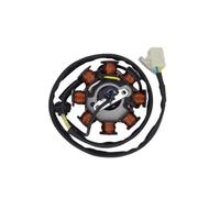 Ignition Coil Stator Motorcycle 8 Poles Full-Wave DC Magneto Stator Coil Generator Ignition For SPACY 100 SCR100 SCR 2003-2007