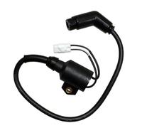 Ignition Coil Switch 1Pc For Polaris 300 For Hawkeye 300 2X4 4X4 2006 2007 2008 2009 2010 2011 3089860 3089910 Ignition Coil