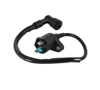 Ignition Coil Voltage Package Compatible With ATV 150 Sport Crossroad Crossover Her Chee GK 125 Models Fits 30510 168 000