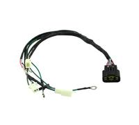 Ignition Coil Wiring Loom Harness For Zongshen 125HO 140cc Z155 155cc Engine Pit Dirt Bike