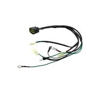 Ignition Coil Wiring Loom Harness For Zongshen 125HO 140cc Z155 155cc Engine Pit Dirt Bike