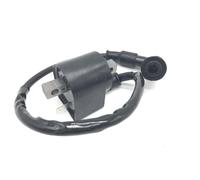 Ignition Coil With CDI For S&uzuki LT-A50 LTA50 Quadmaster Italjet JT50 Dirt Bike
