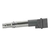 BorgWarner (BERU) Ignition Coil ZSE044 / 022905715A – Fits VW Passat, Touareg, Audi Q7 3.6L