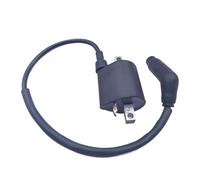 Ignition Coil with Wire Fit For SS 300B ATV Buyang 300 Feishen FA 300CC D300 G300 H300 Quad 5.3.01.0240 LU019139 Hunter XTX 300B Replacement parts