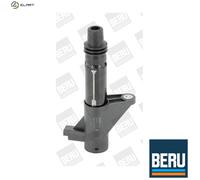 Ignition coil Connector Type SAE ZS347 BorgWarner (BERU) for PEUGEOT RENAULT