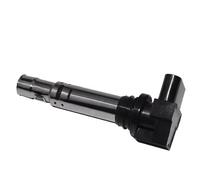 Ignition coils Compatible With For Beetle For Cc B7 2011-2016 For Bora 2000-2005 For Caddy 2004-2010 Car Ignition Coils Coil Spare Parts 036905100A(1pcs)