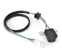 Ignition Coils Ignition Parts For CHAMPION For 450 For 250 For 505 For 530 Ignition Pick Up Trigger Pulse Coil 77039134000 77339034000 Switch Coil