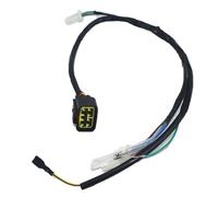 Ignition Coils Pack 8 Pin CDI Unit Plug Kick Start Wiring Wire Harness Loom For Kayo Motorcycle Accessories