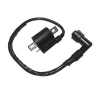 Ignition Coils Pack Ignition Coil CDI For 125cc 150cc 200cc 250cc Scooter For ATV Motorcycle Dirt Bike Go Kart Moped
