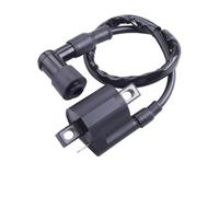 Ignition Coils Pack Ignition Coil For PW 50 PW50 80 PW80 90cc 110cc 125cc 150cc 200cc 250cc For ATV Quad Dirt Pit Bike High Voltage Pack