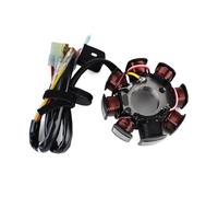 Ignition Coils Stator Coil Fit For EXC 250 300XCW 200 XC XCW EXC-E SIX Days 250R Replace OEM:55139004100 55139004000