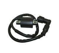 Ignition For 150cc 200cc 250cc Dirt Bike ATV Quad Four Ignition Coil Ignition Coil