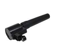 Ignition Heating Systems Ignition Coil 2-pin 2W4Z12029B AJ81373 XW4U12A366BB XW4X12029BA For LINCOLN LS 3.9 V8 32V 1998-