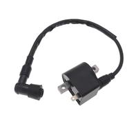 Ignition Ignition Coil For LT50 LTA50 50cc 2-Stroke For AX100 A100 AK100 FR80 100cc Small ATV Quad 4 Wheel Motorcycle Bike 1PIECE Ignition Coil