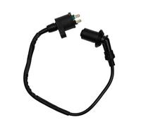 Ignition Key Switch For TRX300 GY6 50CC 125CC 150CC Engine Motorcycle Dirt Bike Scooter Moped High Performance Ignition Coil 12V