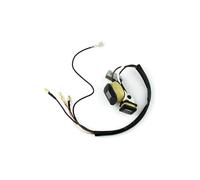 Ignition Key Switch Ignition Coil For Tiger Generator 450W 650W 800W 950W 1000W 2 Stroke Et950 Et650 Ie45 Tg950 With Magneto Ignition Coil Ignitor Accessories