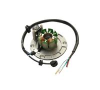 Ignition Magneto Stator Coil Magneto Ignition Stator 2 Pole Coil 4 Wire Flywheel Rotor Kit For Zo&ngshen 150CC Xmotos Kaya Parts