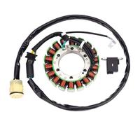 Ignition Magneto Stator Coils Motorcycle Generator Stator Coil Assembly For TRX450FE TRX450FM Foreman 2002-2004 31120-HN0-671 Stator Coil Rectifier