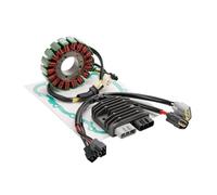 Ignition Magneto Stator Plate For Daytona 675r 675 2008-2010 2011 2012 T1301234 Motorcycle Stator Regulator Rectifier Gasket Kit Replacement Accessories Stators Coil