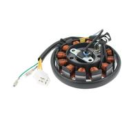 Ignition Magneto Stator Plate For GY6 150cc 125cc 200cc 180cc 157QMJ 152QMI For Engine 12 Coils DC Stator Magneto Glixal For Scooter Moped ATV Go Kart Quads Stators Coils