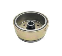 Ignition Rotor For LX250 RT250 LD250 Compatible With Flywheel