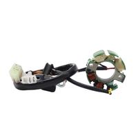 Ignition Stator Coil 8000A1430 Compatible With Husqvarna TE250 | Fits TE450, TC250, TC450, SMR450; Part Number 8000A1430